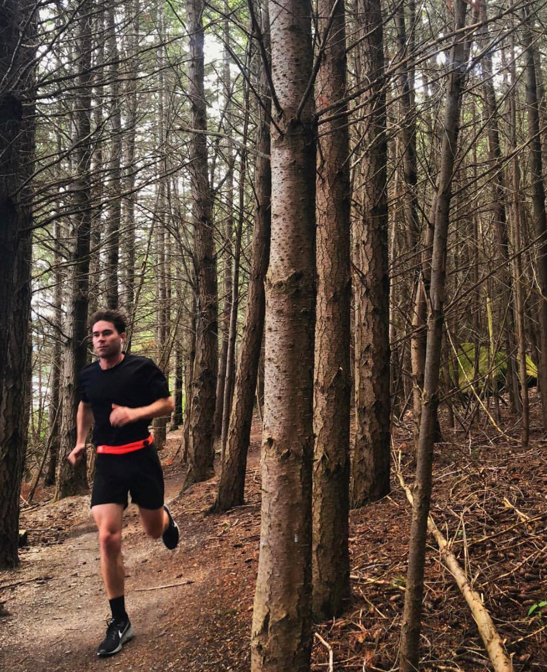 Best Trail Runs in New Zealand